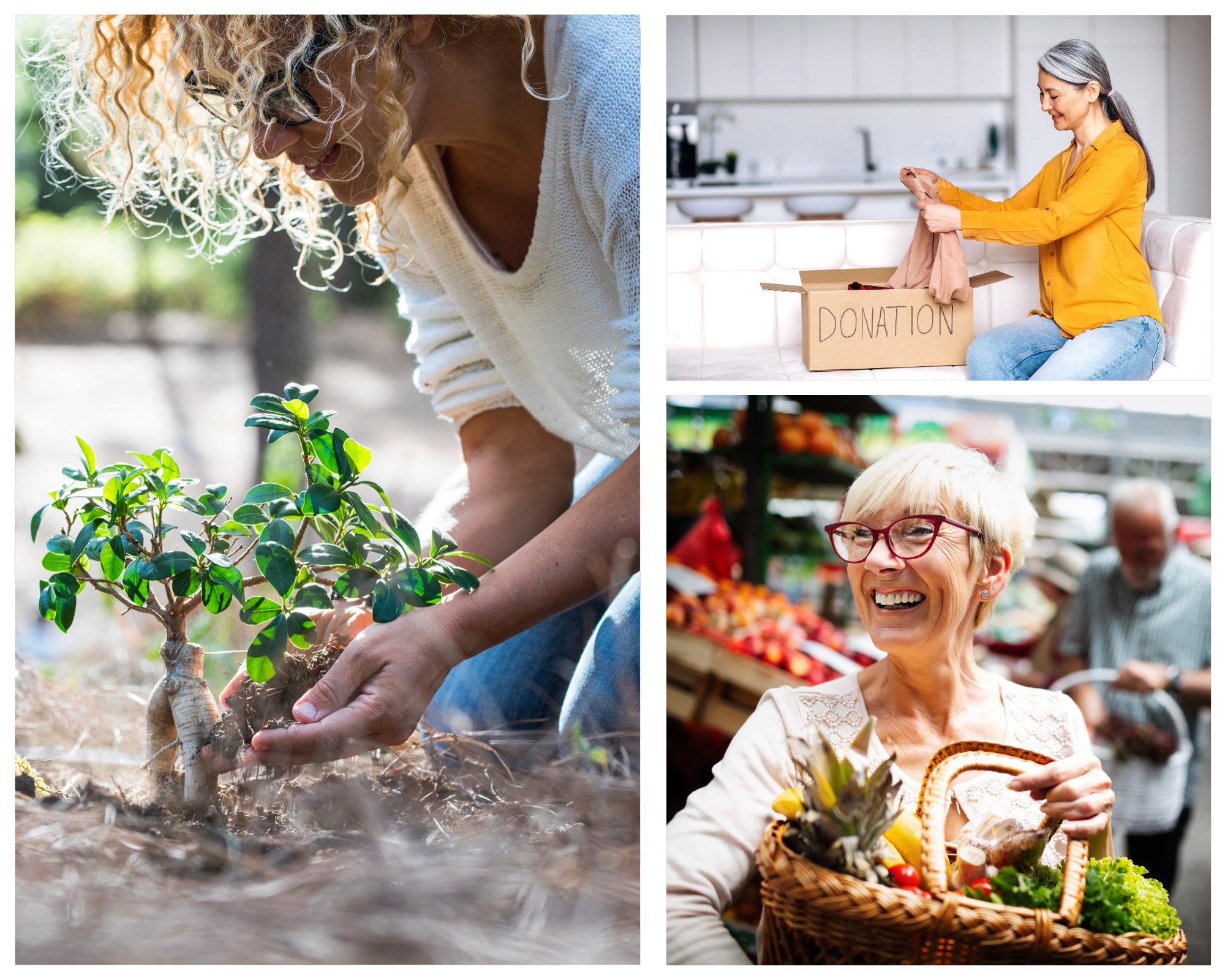 Easy and Engaging Earth Day Activities for Seniors