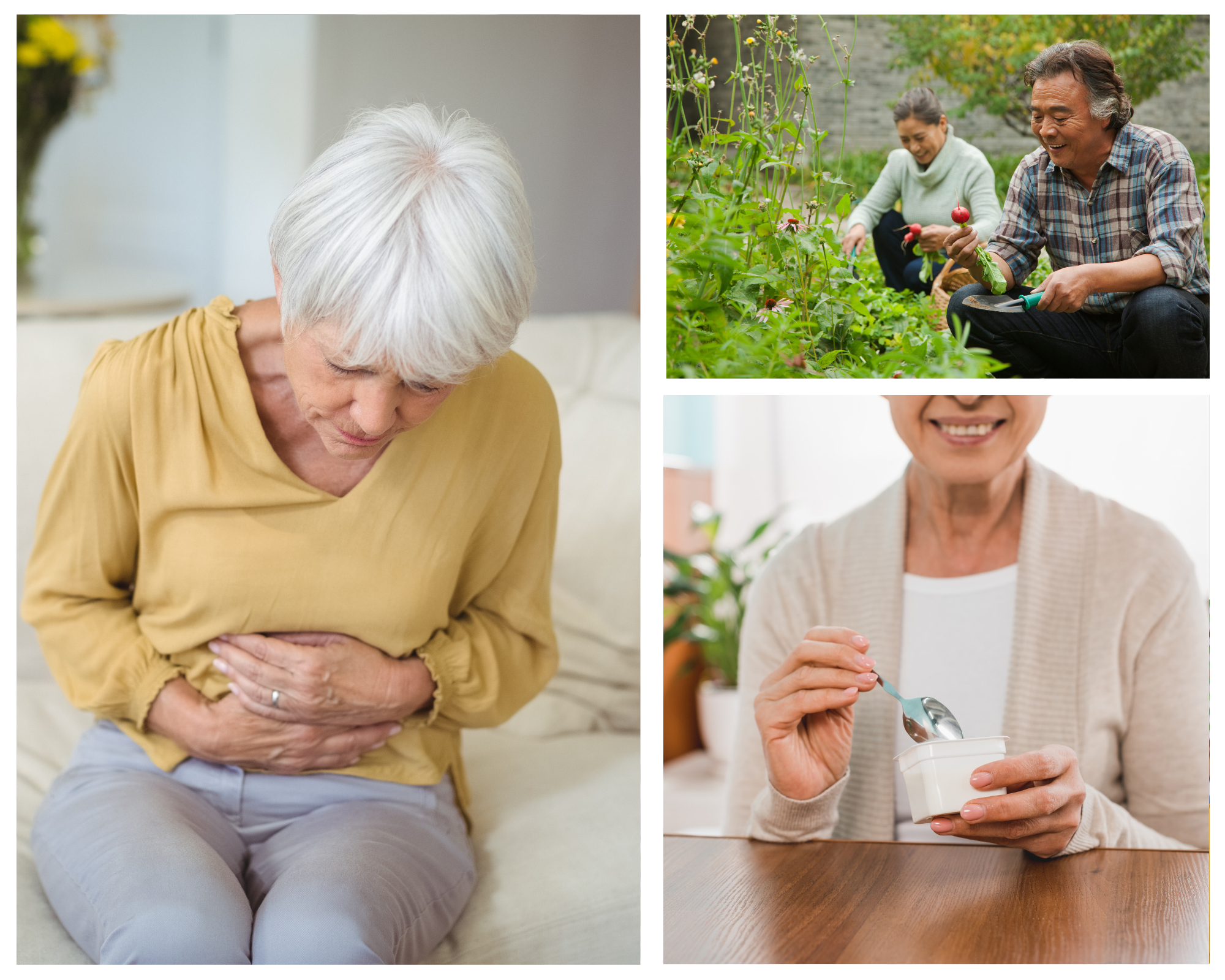 How Seniors Can Improve Their Gastrointestinal Health