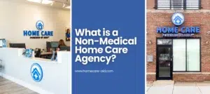 What is a Non-Medical Home Care Agency?