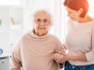 Help for the Elderly Living at Home